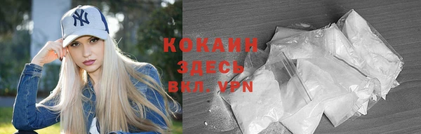 индика Белоозёрский