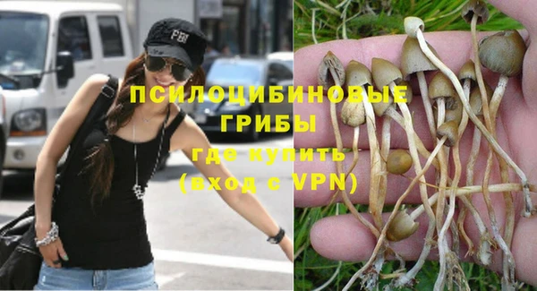 Альфа ПВП Белокуриха