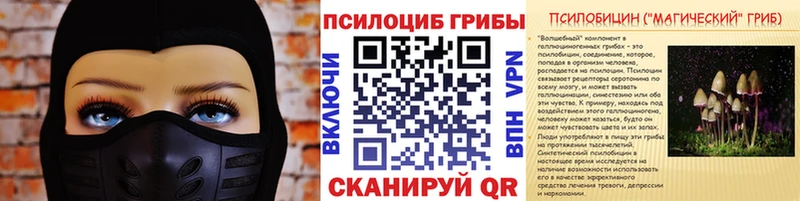 Галлюциногенные грибы Psilocybine cubensis  Кунгур 